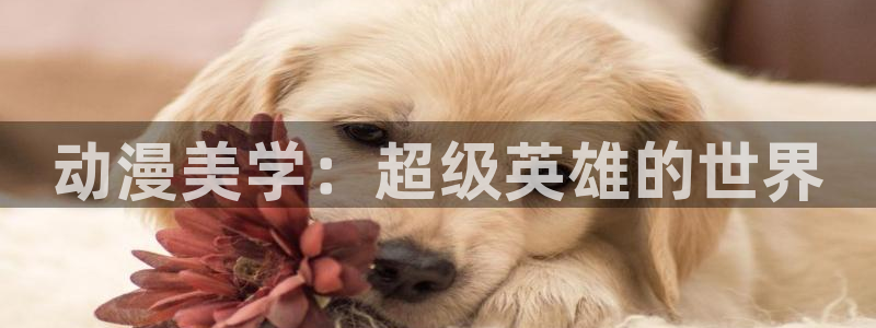 age动漫正版网：动漫美学：超级英雄的世界