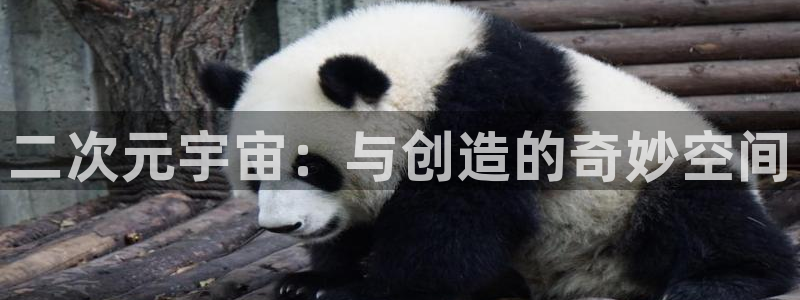 age动漫 官网入口