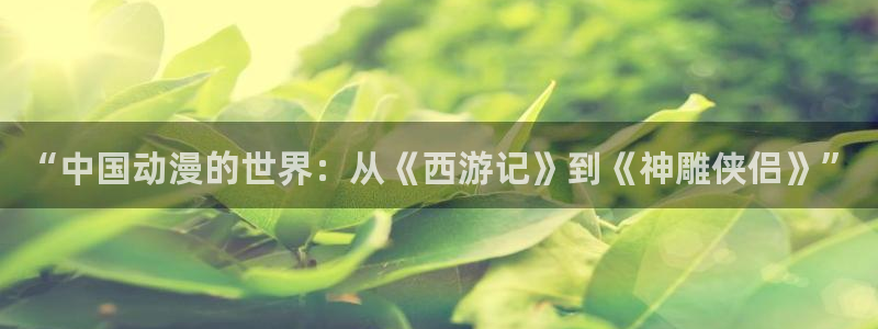 age动漫海贼王：“中国动漫的世界：从《西游记》到《神雕侠侣》”